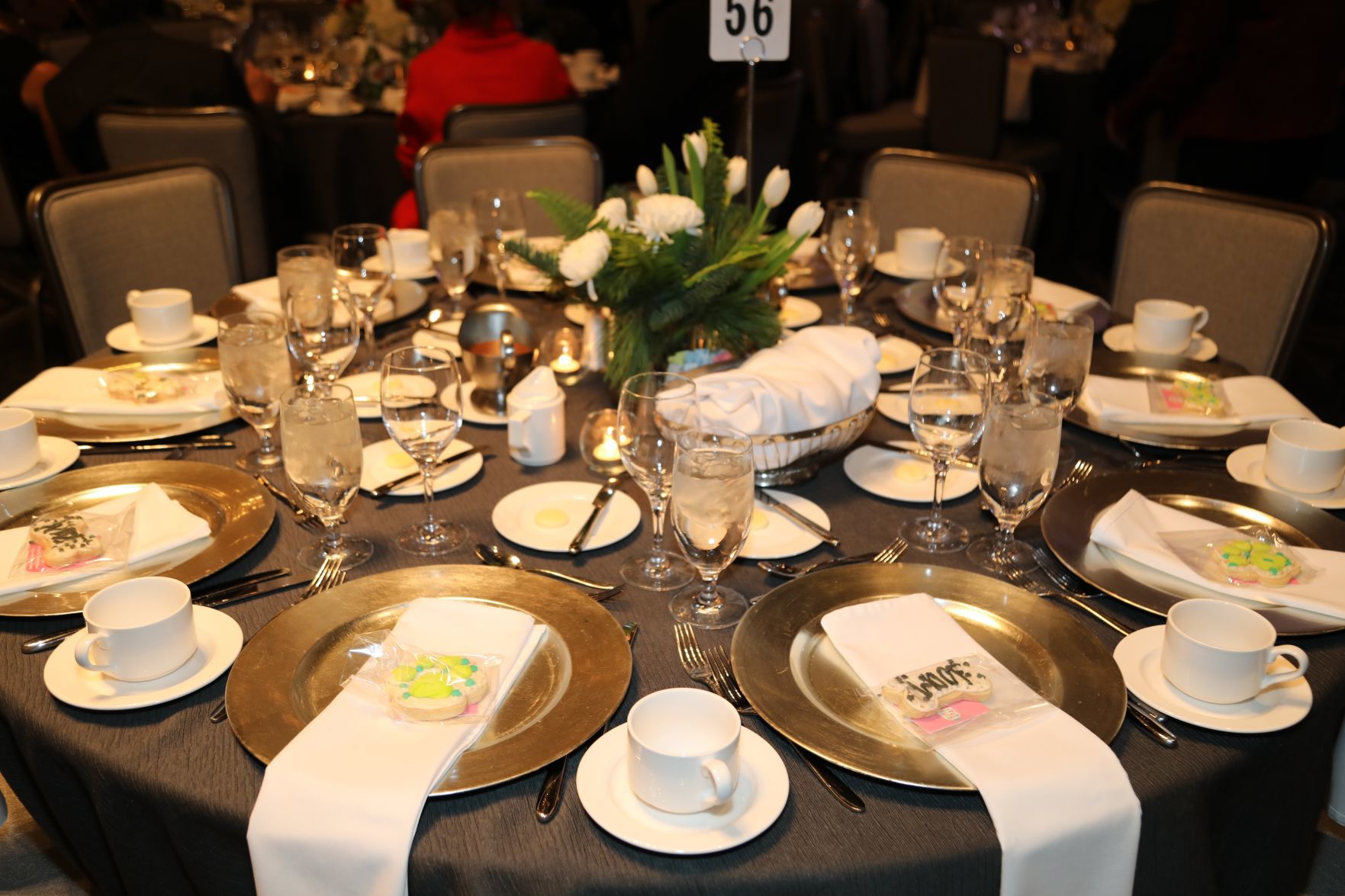 2019-Stray-Rescue-Gala-043.JPG